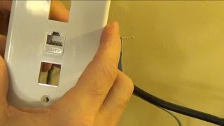 How to Install a Cat 5e Network Cable Wall PlugJack  RJ45 [upl. by Dysart680]