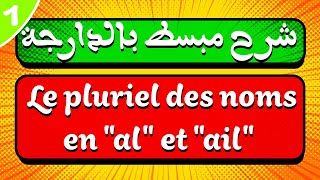 شرح مبسط بالدارجة لدرس Le pluriel des noms en al et ail [upl. by Irreg400]