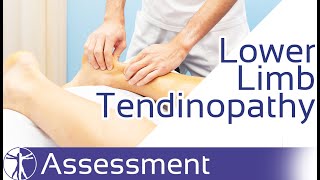 How to Diagnose Lower Limb Tendinopathy [upl. by Damian]