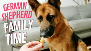 German shepherd and family time eating chips [upl. by Neitsirk]