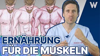 5x Ernährung für den schnellen Muskelaufbau amp Transformation Diese Nahrung geht in die Muskeln [upl. by Atarman356]