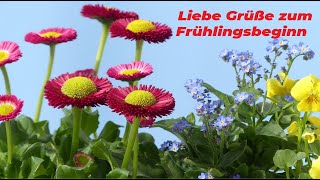 Liebe Grüße zum Frühlingsbeginn 💐🌞🎶 [upl. by Aissilem]