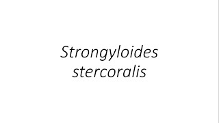 Strongyloides stercoralis Parasitology [upl. by Artemus]