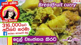 ✔ දෙල් වෑංජනය කිරට හරියට උයමු Authentic breadfruit curryDel Curry recipe in Sinhala by ApeAmma [upl. by Quince488]