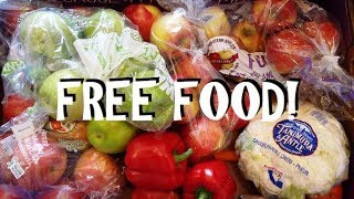 Free Food  Dumpster Diving for Groceries How to Eliminate That Grocery Bill [upl. by Kelcie]