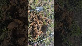 Consegue ver oque achei aí  🤔 Detectorismo botija metaldetecting moedas [upl. by Moor172]