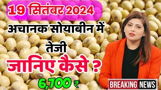 22 सितंबर 2024 आज सोयाबीन में भारी तेजी Soyabean ka bhav  Soya ka rate Soyabean mandi bhav aaj ka [upl. by Ginevra479]