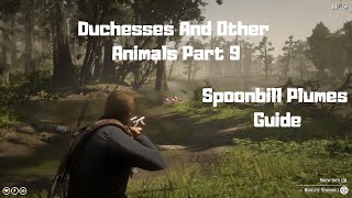 RDR2  Duchesses And Other Animals Part 9  Spoonbill Plumes Guide [upl. by Littlejohn813]