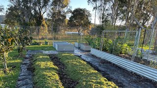 Novice Gardener  Garden tour  Australia [upl. by Aicilehp361]