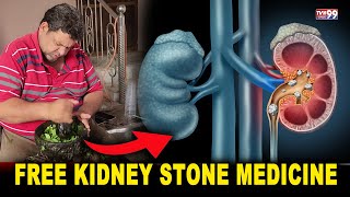 Free Kidney Stone Medicine  Janiye Kaha Hai  TVn99URDUNEWS [upl. by Aneekas]