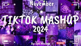 Tiktok Mashup November 💜2024💜 Not Clean [upl. by Purington]