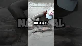 Exotic mud bath on top of volcano funny explore shorts youtubeshorts [upl. by Mohn918]