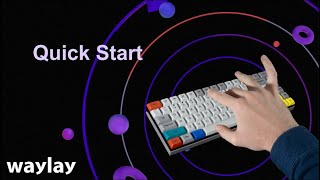 Waylay Quick Start [upl. by Einavoj]