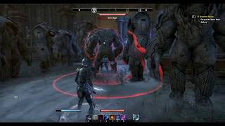 Elder Scrolls Online Greymoor Unlock Wall of Elements Escape Stone Husk Gallery [upl. by Kannan917]