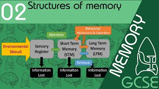 Stuctures of memory  Memory GCSE Psychology AQA [upl. by Hale]