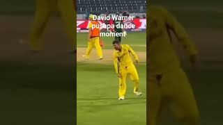 David Warner pushpa dance moment 2023 cricket world cup Srivalli dance moment [upl. by Hjerpe351]