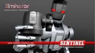 Sentinel Eliminator [upl. by Mercado]