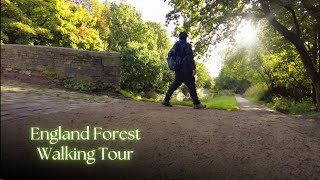 The Most Astonishing Rainforest walk  hiking and trails in Lancashire UK Walking ambience [upl. by Edra]