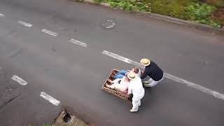 Crazy tourist attraction  Toboggan Sled Ride in Madeira Island Portugal [upl. by Balthasar895]