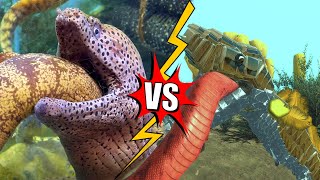 Aquatic Creatures units VS Real life 3 Animal Revolt Battle Simulator [upl. by Domenico]