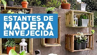 Como hacer Estantes de Madera para Plantas con forma de Escalera  Estantes para Plantas [upl. by Nosloc]