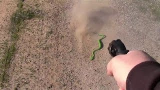 Ruger LCR 22 LR VS Snake [upl. by Anni]