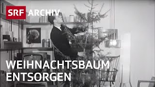 Wohin mit dem Weihnachtsbaum 1964  Entsorgung von Weihnachtsbaum  SRF Archiv [upl. by Elleirad647]