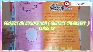 Chemistry Project on Adsorption  Surface Chemistry  Class 12 [upl. by Nnahgaem446]