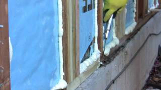 DIY Spray Foam Insulation  Poor Mans Spray Foam [upl. by Enelaj358]