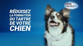 DENTALIFE® CHIEN Hygiène BuccoDentaire pendant 28jours [upl. by Sturges140]