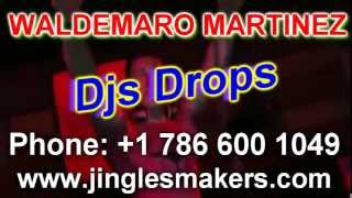 WALDEMARO MARTINEZ  DJs DROPs [upl. by Aehcsrop192]