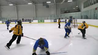 U14B Dorchester vs Forest Gold Medal Game  London Ringette Tournament [upl. by Tudor]