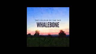 The Colour of the Sky  Whalebone [upl. by Dunham66]