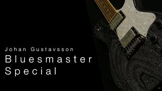 Gustavsson Bluesmaster Special • Wildwood Guitars Overivew [upl. by Ahsieyn]