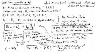 Developing a bacteria growth model from experimental data [upl. by Celinka]