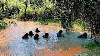 What A Camera Captured In The Philippines Shocked The Whole World [upl. by Somar]