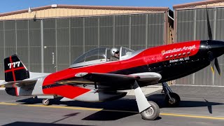 Stinker Air LLC Thunder Mustang Air Race Plane  Tuned By Shane T [upl. by Asina748]