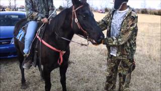 A Mississippi Horse Race [upl. by Hamburger]