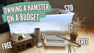 Owning a Hamster on a BUDGET [upl. by Leibrag138]