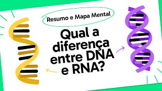 DNA E RNA  QUER QUE DESENHE  MAPA MENTAL [upl. by Carce]