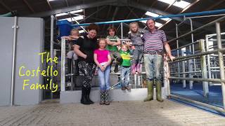 DeLaval AMR™  Automatic Milking Rotary [upl. by Aikas221]