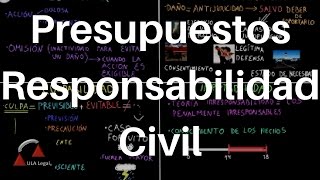 Presupuestos de la Responsabilidad Civil DERECHO CIVIL [upl. by Anisor]