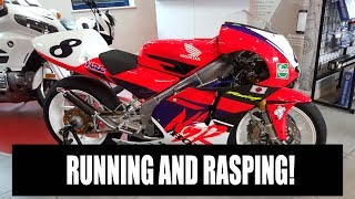 1996 HONDA RS250 2 STROKE  RUNNING AND RASPING AFTER REBUILD  STUNNING [upl. by Rosabella158]