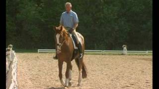 Klaus Balkenhol  from foal to Grand Prix horse Part 3 Creating a Grand Prix Horse [upl. by Corissa319]