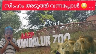 സിംഹം അടുത്ത് വന്നപ്പോൾ Vandalur zooPart 1 [upl. by Yedarb833]