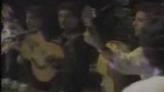 Gipsy Kings  Vamos A Bailar Live at Royal Albert Hall [upl. by Darci789]