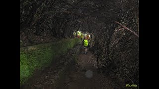 Levada das 25 Fontes  Madeira Levada Walks [upl. by Auqinehs]