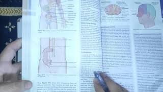 physiology guyton 49 visceral parietal and Referred painclinicals of painneurophysiologymbbs [upl. by Fidelas]