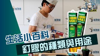 【開箱實測】 釘膠的種類與用途｜居家常識｜生活小智慧｜家居產品｜ [upl. by Ominoreg]