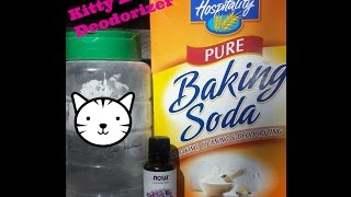 How to Save Money DIY kitty litter deodorizer [upl. by Kapor619]